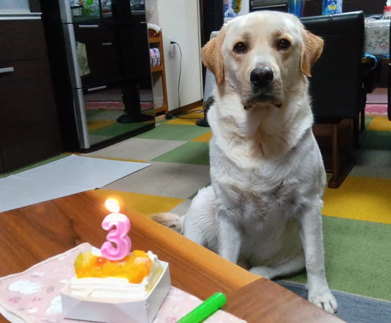 ran_2024birthday